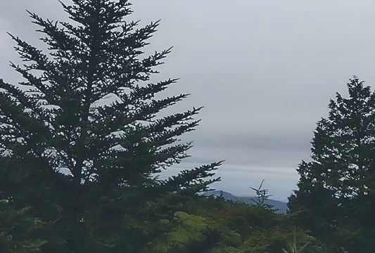 �V�鍂�����ԏ�